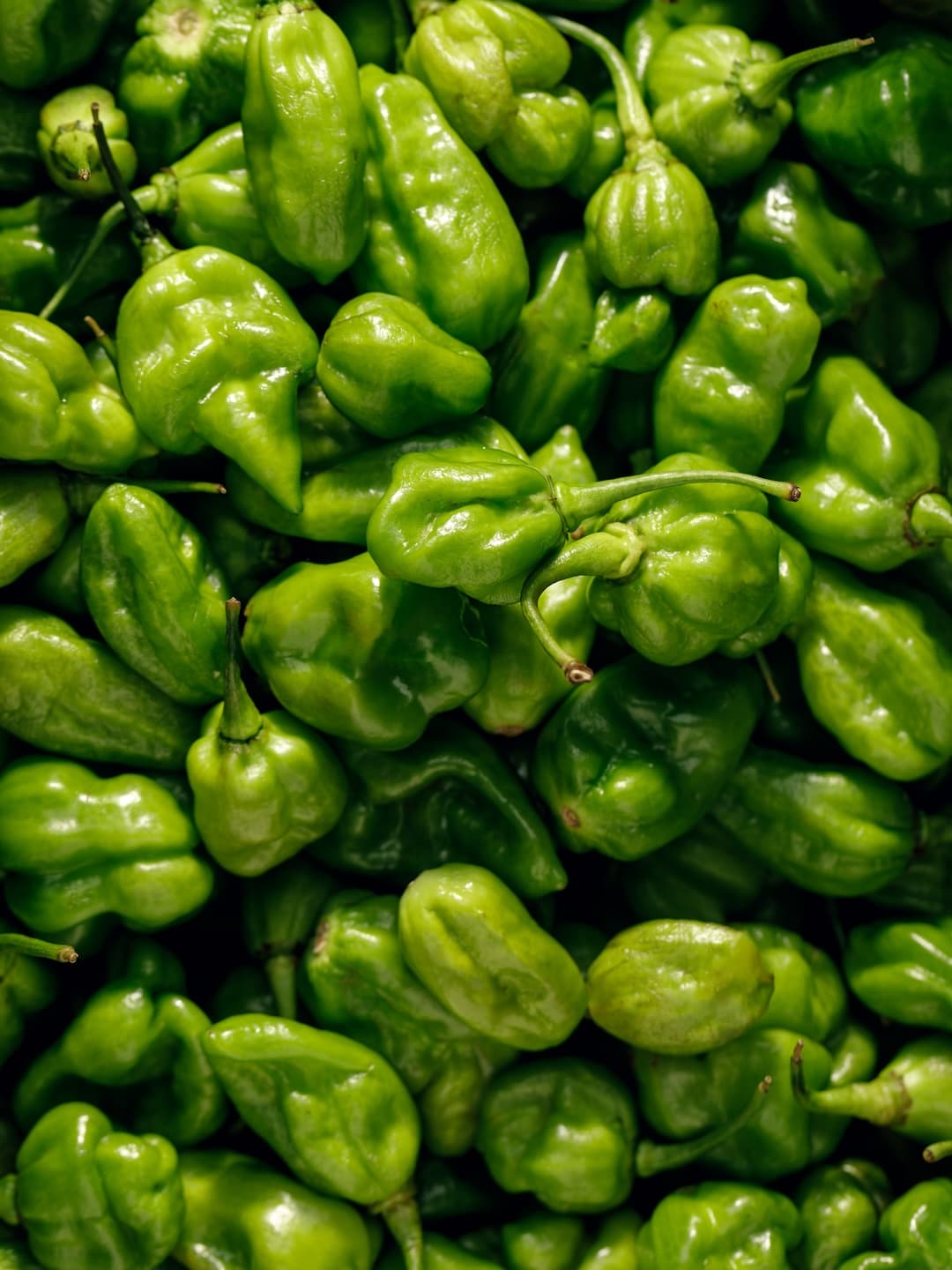 Sustainable Agriculture